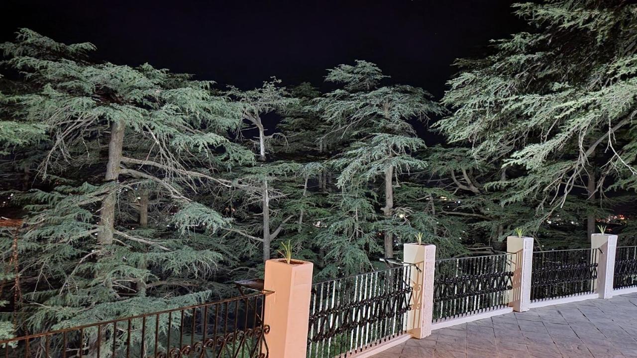 Glen View Heritage Homestay Shimla Luaran gambar