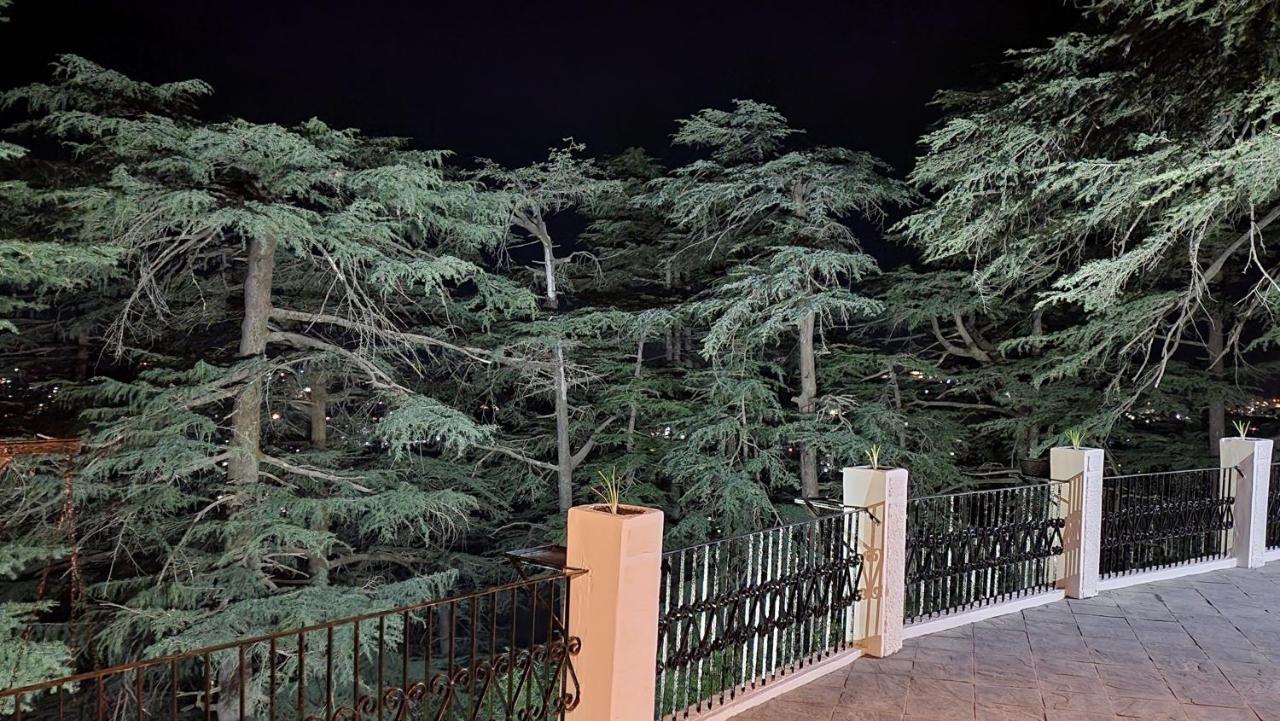 Glen View Heritage Homestay Shimla Luaran gambar