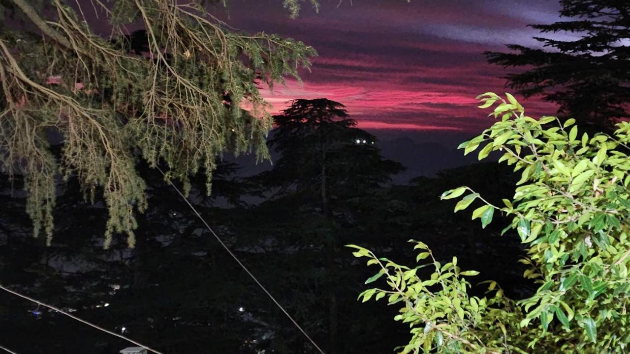 Glen View Heritage Homestay Shimla Luaran gambar