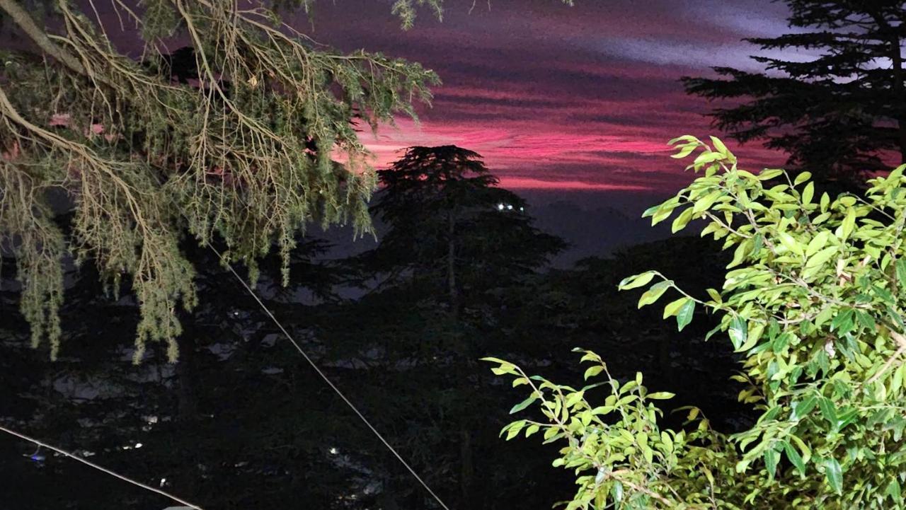 Glen View Heritage Homestay Shimla Luaran gambar