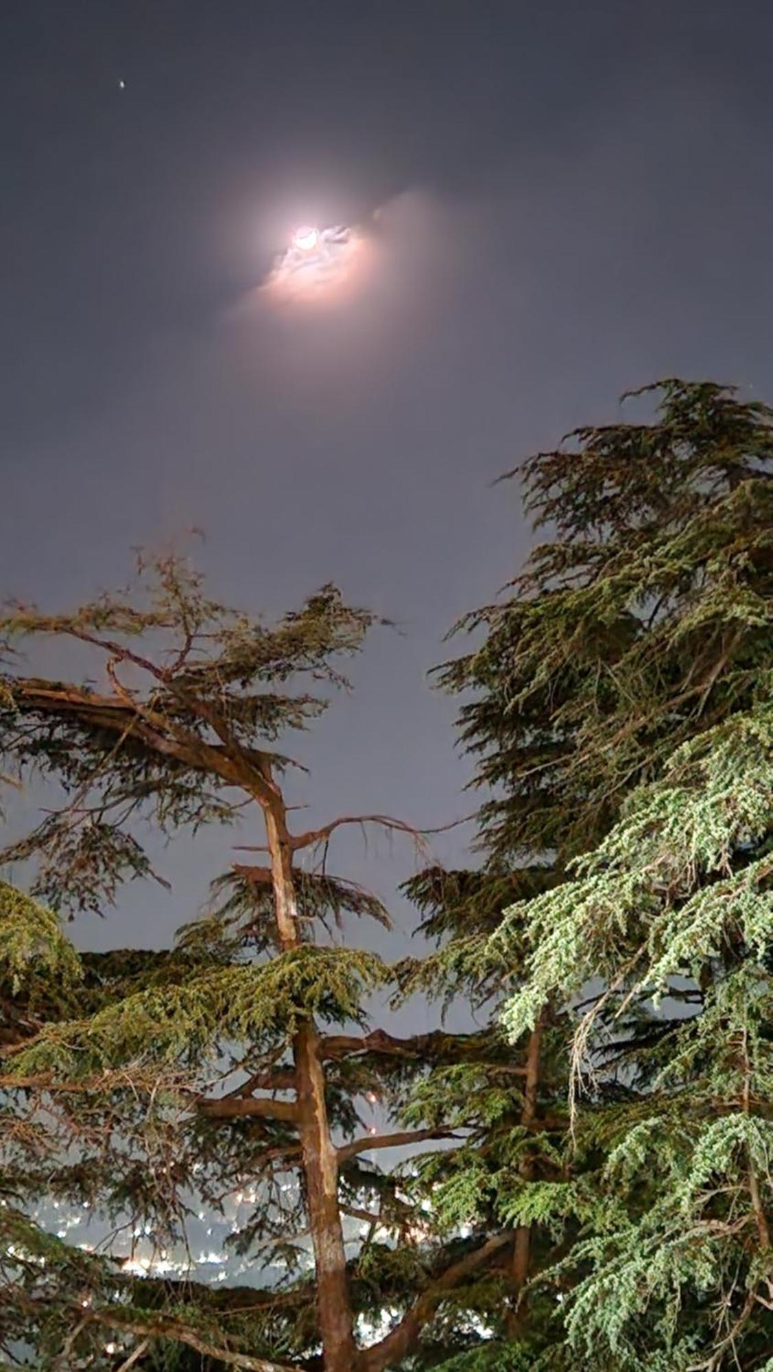 Glen View Heritage Homestay Shimla Luaran gambar