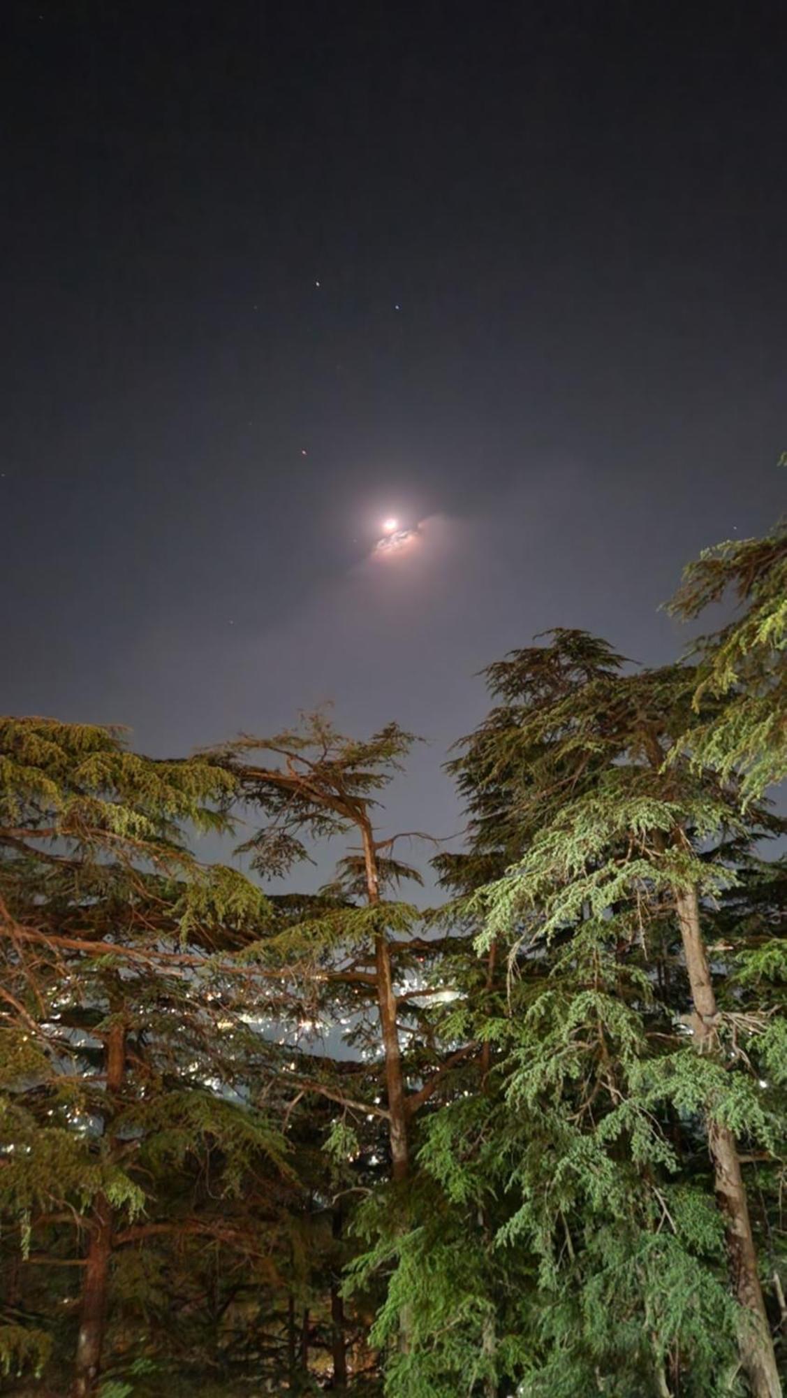 Glen View Heritage Homestay Shimla Luaran gambar